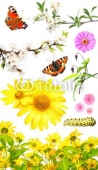 Fotomural